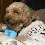 erueru.com's Avatar'