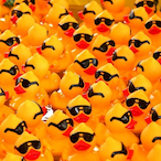 LckyRubberDucky's Avatar'