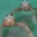 African_Yoda's Avatar'