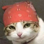 BeYourBaBa's Avatar'