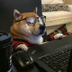 FillingTrain's Avatar'