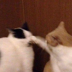 Bottle_Jin's Avatar'