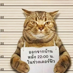 MTYHJKL's Avatar'