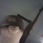 Panzerbaum's Avatar'