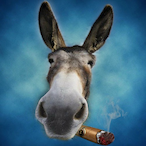 AKM_yuiik's Avatar'