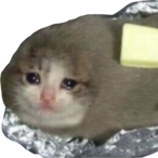 EnderGaming2016's Avatar'