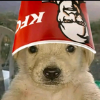 ncastelan's Avatar'