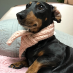 Real-Brownie's Avatar'