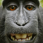 KarakChai's Avatar'