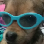 SupItsBreezy's Avatar'