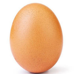 Eggy.Telur's Avatar'