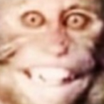 WalliesSab's Avatar'