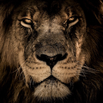 GodxPlayzx's Avatar'
