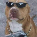 AXELISHOuy's Avatar'