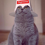 osamabindancing's Avatar