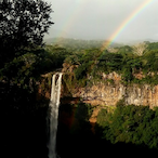 WreakingHavoc.'s Avatar'