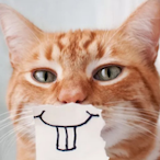 Aforcat's Avatar'