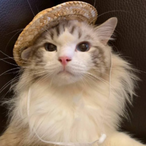 zevvvv's Avatar'
