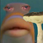 Mayday.Mayday's Avatar'