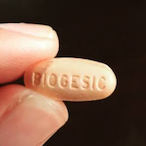 biogisic's Avatar'