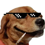 Toto.org's Avatar'
