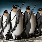 NBAKIRKBOY's Avatar'