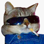 Return_2_Monkey's Avatar'