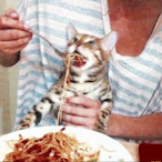 themissing9's Avatar'