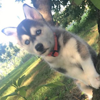 Grafikman_'s Avatar'