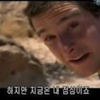 BearGrylls-_-'s Avatar'