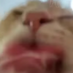 rioramen's Avatar'