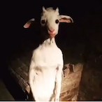 Qrtey69's Avatar'