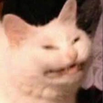 BBLYAMS's Avatar'