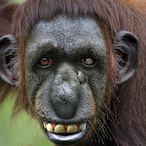 marcio.305.'s Avatar'