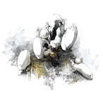 T.M.Opera.O.'s Avatar'