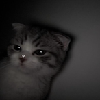 Kifarah's Avatar'