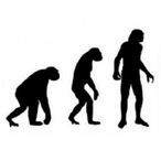 The-Mad-Monkey's Avatar'