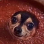 shamforeignn's Avatar'