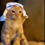 MonkeyyGamer69's Avatar'