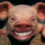 psicoco_'s Avatar'