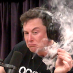 quirkmaster3000's Avatar'