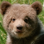 LilGrizz_'s Avatar'