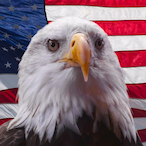 NormalAmerican's Avatar'