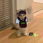 sirenoman19's Avatar'