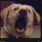 Sm0k0Guw0p's Avatar'