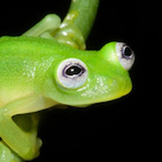 Squid_eXorcist's Avatar