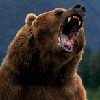 WildBearKiller's Avatar'