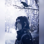CrunchySoc's Avatar'