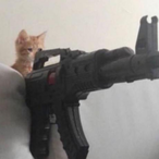 alpha_cat_'s Avatar'