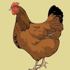 KwispieChickwen's Avatar'